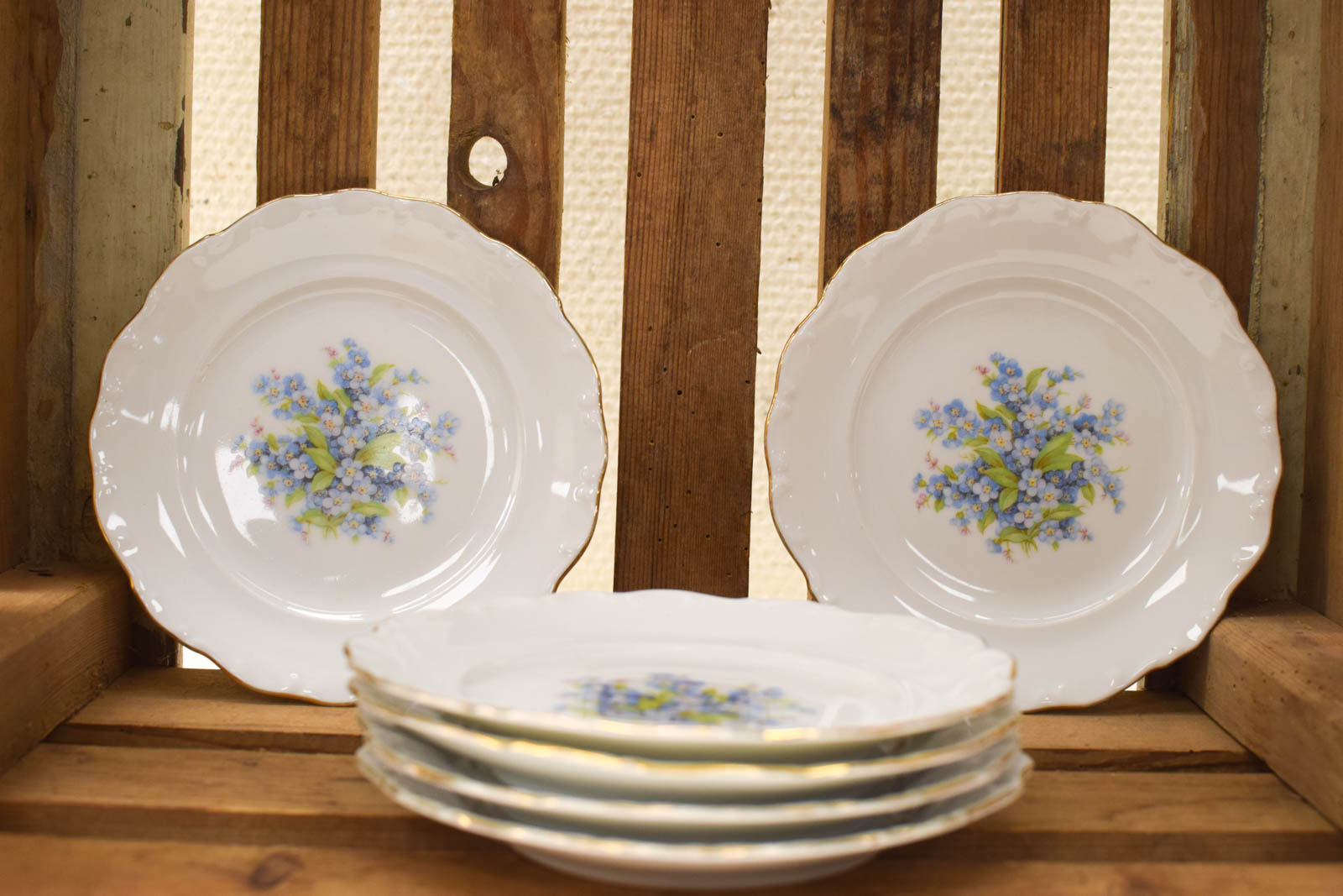 6 stuks Bavaria Schumann Arzberg porseleinen schoteltjes 50107