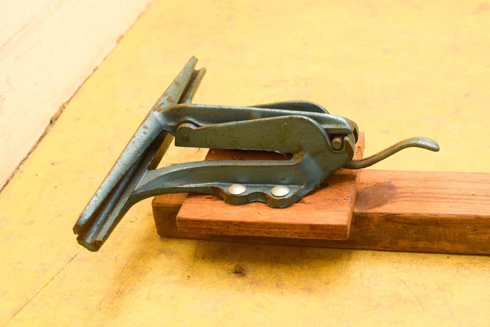 Buiger gemonteert op een plank 50896 - Afbeelding 3