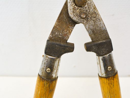 Worn vintage gardening shears with wooden handles, perfect for passionate gardeners and pruning tasks.