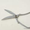 Precision stainless steel scissors designed for comfortable, ergonomic cutting in gardening and crafting tasks.
