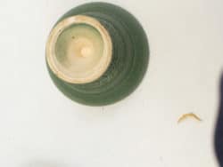 Stylish green ceramic bowl with cream interior and unique purple marbled dish for vintage flair.