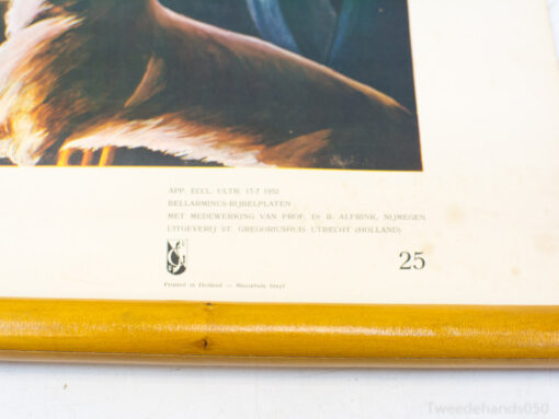 Stunning 1952 eagle illustration, a vibrant Dutch religious artwork for collectors and enthusiasts.