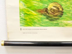 Colorful nautilus-inspired cephalopod in swirling green waters, blending art and marine life.