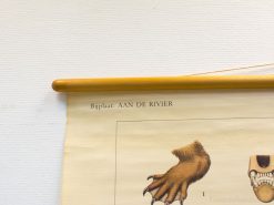 Vintage schoolplaat aan de rivier 92322