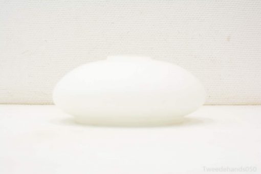 Chic white oval vase, ideal for minimalist decor and modern, serene interiors.