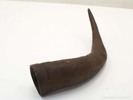 Elegant vintage horn with curves, perfect for decor and collectors of unique artifacts.