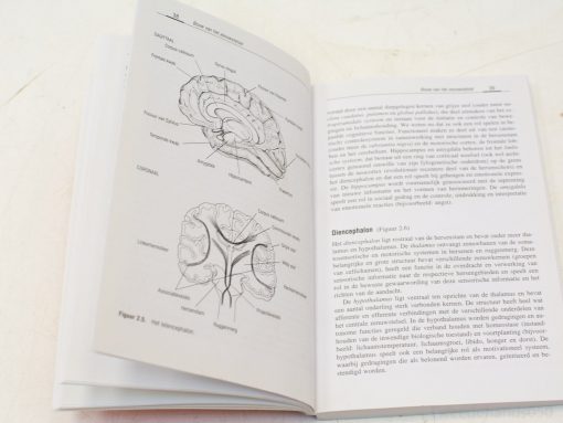 De zenuwcel zakboek Rudi D´Hooge 96975