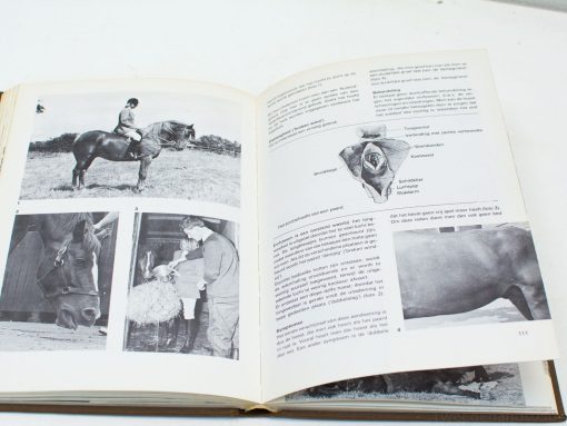 Paardenziekten in woorden beeld boek 96280