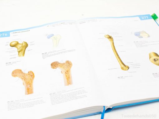 Sobotta atlas v.d menselijke anatomie 96538