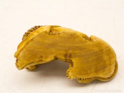 Charming abstract wooden sculpture in warm yellow tones, expertly crafted for art enthusiasts.