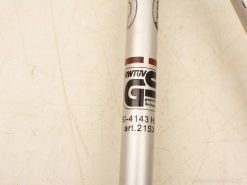 Premium Nordic walking pole with a shiny metallic finish and GS-certified safety standards.