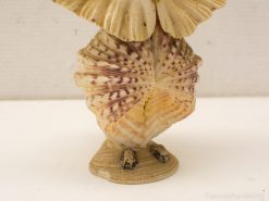 Artistic seashell sculpture resembling a bird, showcasing ocean-inspired beauty and natural elegance.