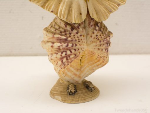 Artistic seashell sculpture resembling a bird, showcasing ocean-inspired beauty and natural elegance.