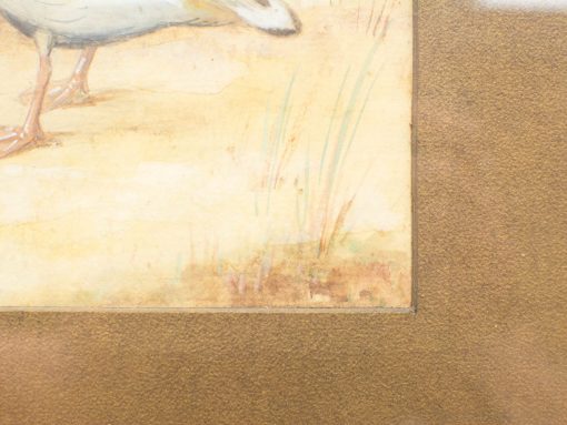 Elegant watercolor bird painting in a serene natural setting, perfect for nature art lovers.