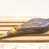 Vintage blue and gold bellows, an elegant tool showcasing artisanal craftsmanship and historical charm.