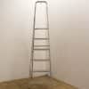 Lightweight aluminum step ladder with six non-slip steps, ideal for home tasks.