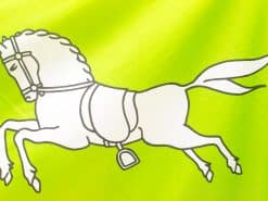 Cartoon horse galloping energetically on a vibrant neon green background, ideal for equestrian themes.
