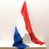 Nederlandse vlag 13685