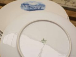 Elegant white ceramic plate with blue scenic design from Bavaria, perfect for collectors.