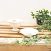 Elegant vintage porcelain bowl and plate set with floral design for stylish dining.