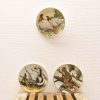 Charming vintage wildlife plates featuring serene birds, playful skunks, and kittens in nature.