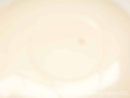 Elegant cream ceramic bowl, reflecting vintage charm and simplicity for refined table settings.