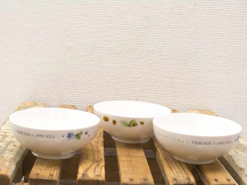 Elegant ceramic bowls with botanical designs, perfect for enhancing any dining experience.