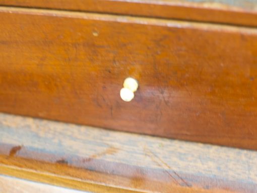 Antique wooden commode featuring elegant brass knob and rich, warm wood tones.