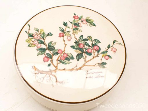 Elegant ceramic container featuring detailed Vaccinium vitis-idaea design with pink berries and green leaves.