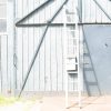 Rustic wooden barn with blue paint, metal ladder, and charming vintage character.