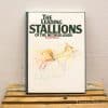 The leading Stallions of the Netherlands boek 20942