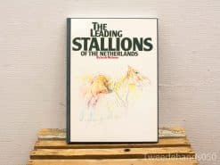 Leidende Hengsten van Nederland: Vintage book showcasing elegant stallions by Jacob Meijssen.