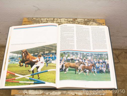 Equestrian sports book showcasing show jumping and foals, capturing beauty and tradition.