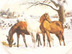 Majestic horses in a serene snowy landscape, embodying winters beauty and tranquility.