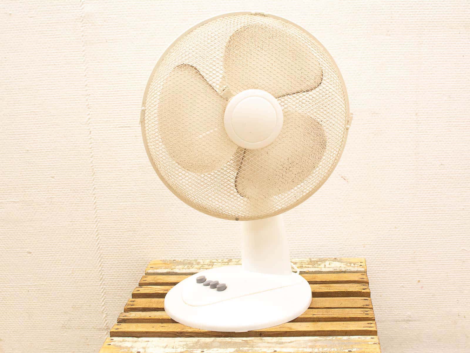 tafelmodel ventilator 23074