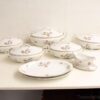 8 delig puls favorite servies 26223