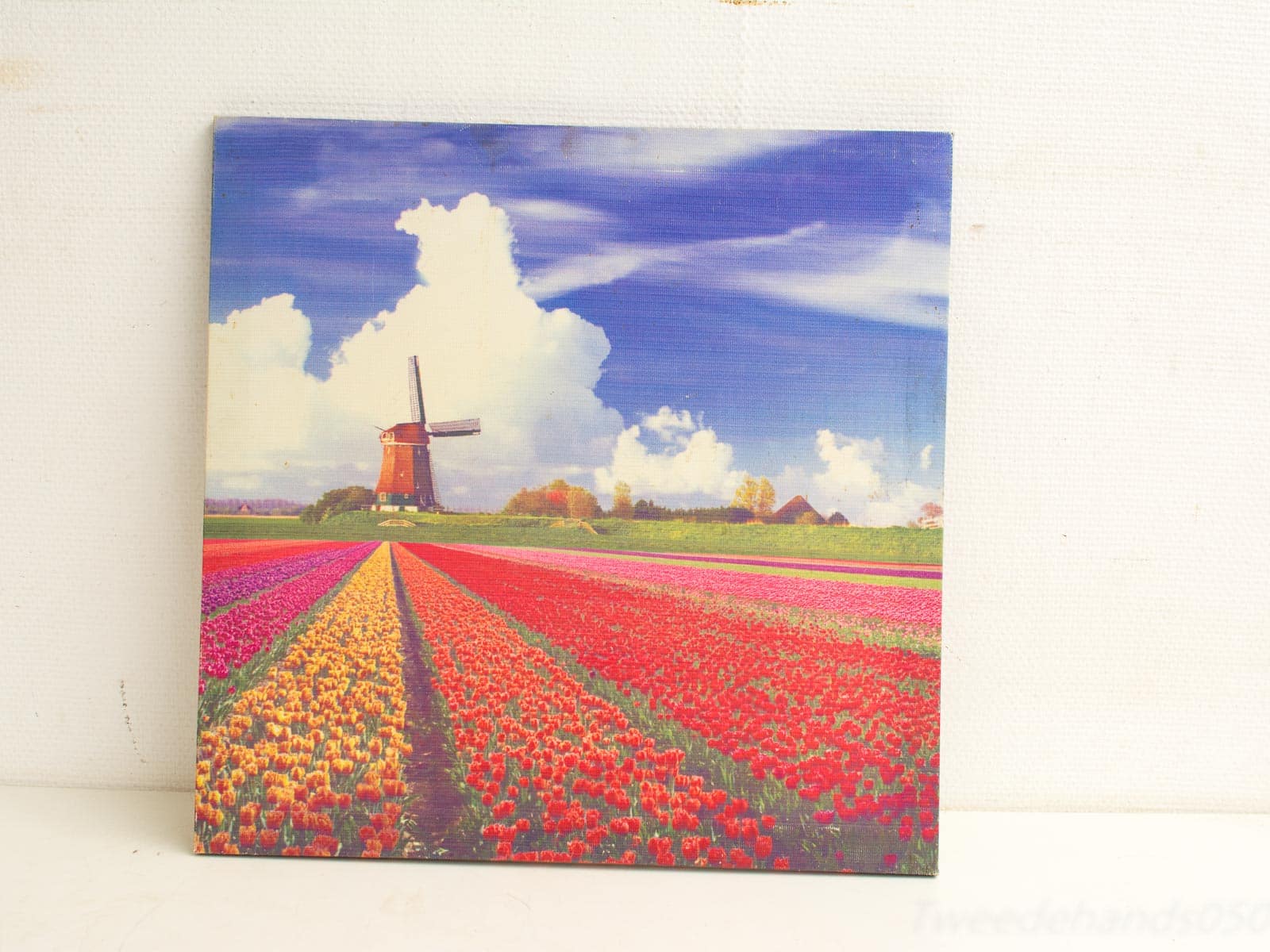 Canvas tulpenbollenveld 26252