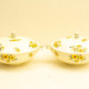 2 societe geramiqeu afdekschalen 31687