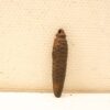 Rusty brown conical metal artifact with spiral ridges, perfect for collectors and home decor.