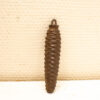 Antique metal pine cone-shaped object with textured surface, perfect for collectors and display.