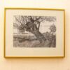 Gnarled tree reflected in serene waters, showcasing natural beauty and intricate details in artwork.
