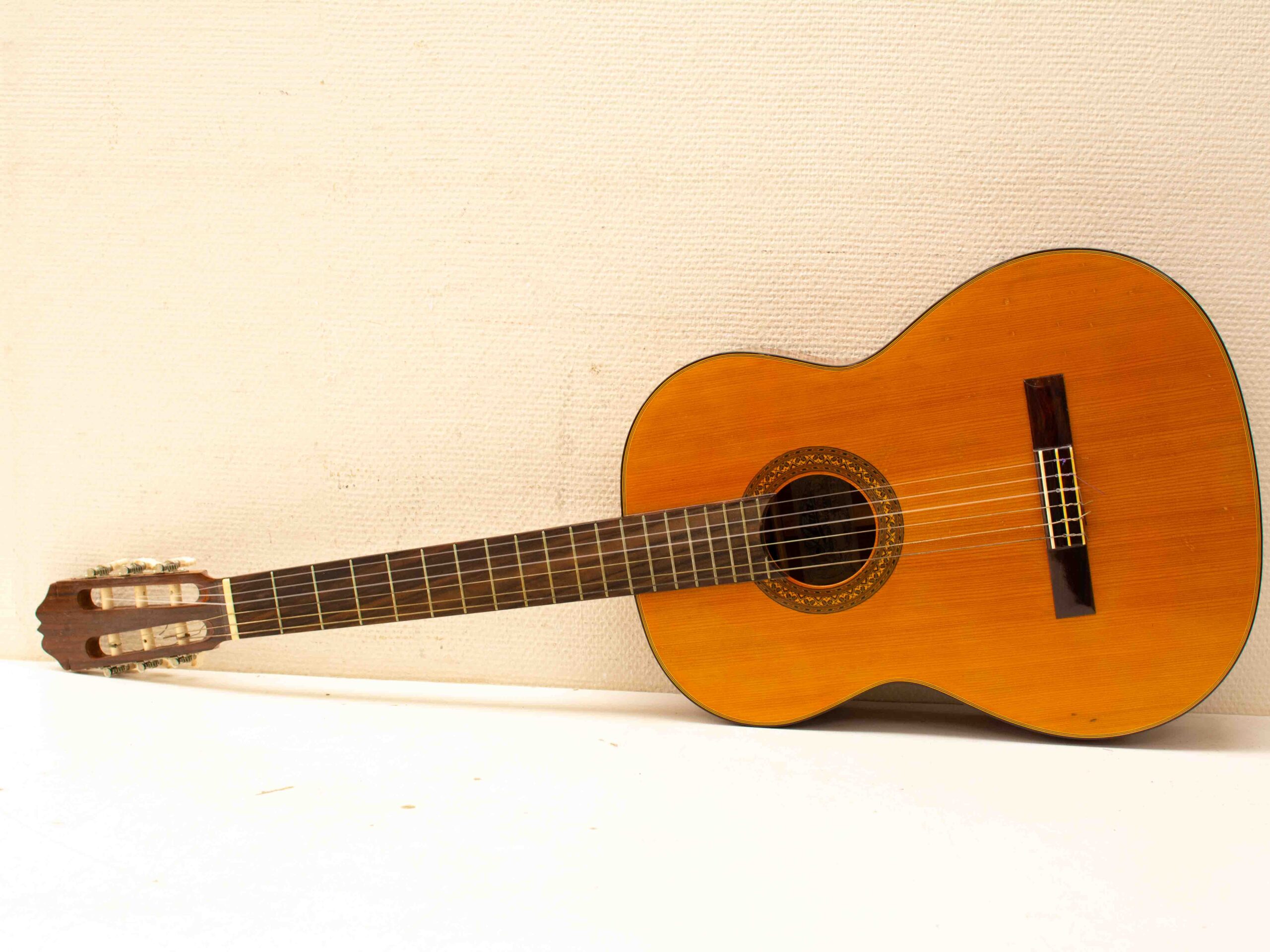 Gitaar in koffer 38197