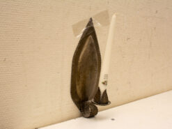 Alternative view of Kaarsenhouder voor aan de wand 39679