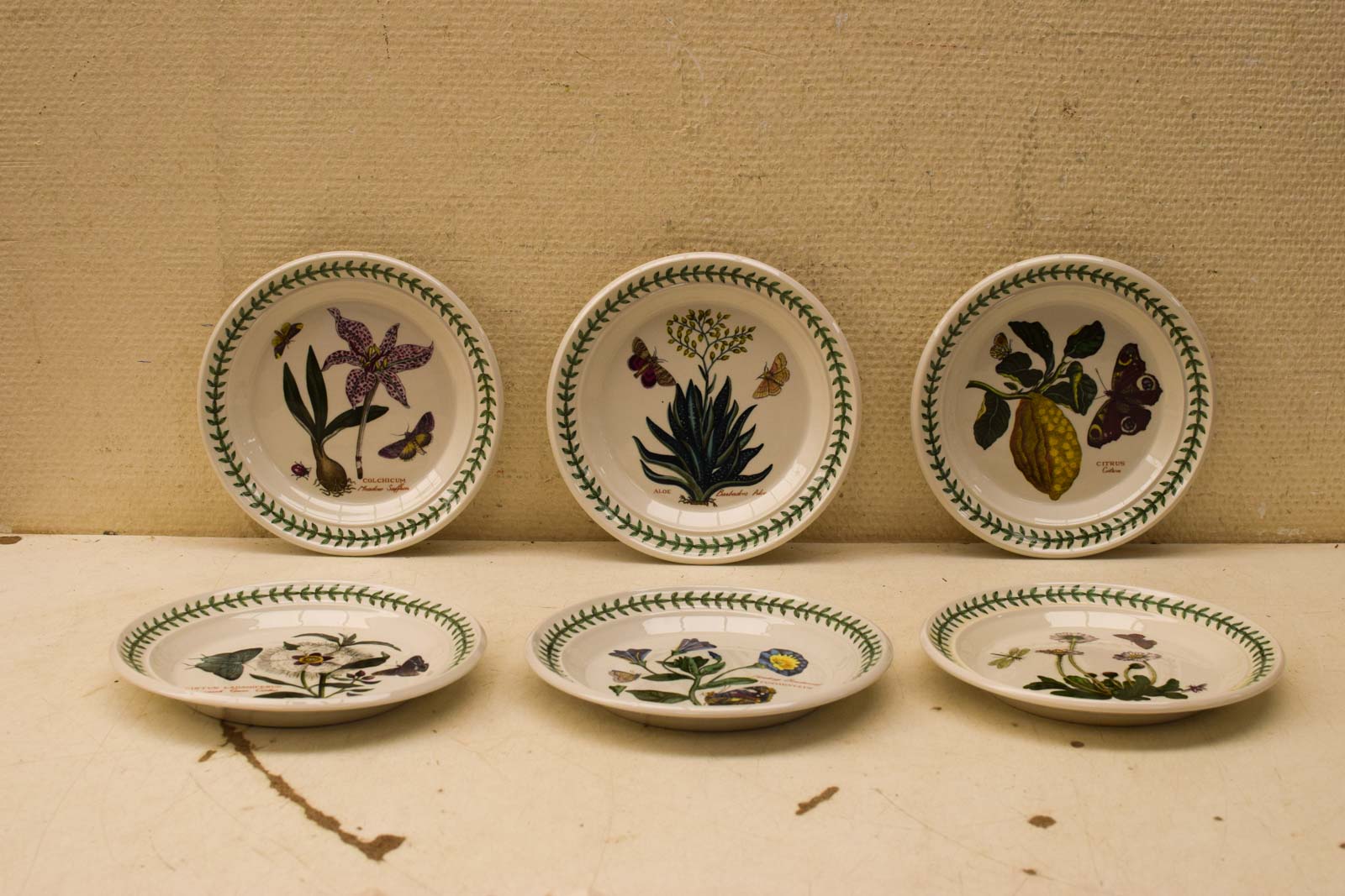 6 stuks The Botanic Garden porseleinen borden  45332