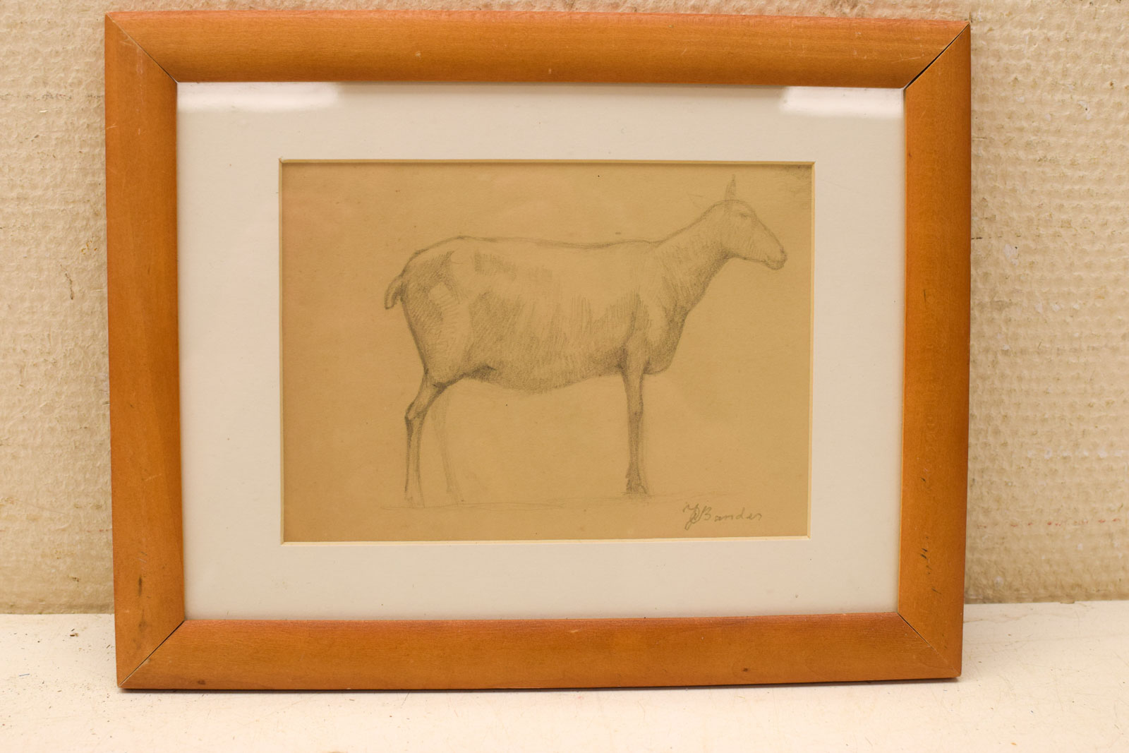 Prent /Tekening van een schaap 45940