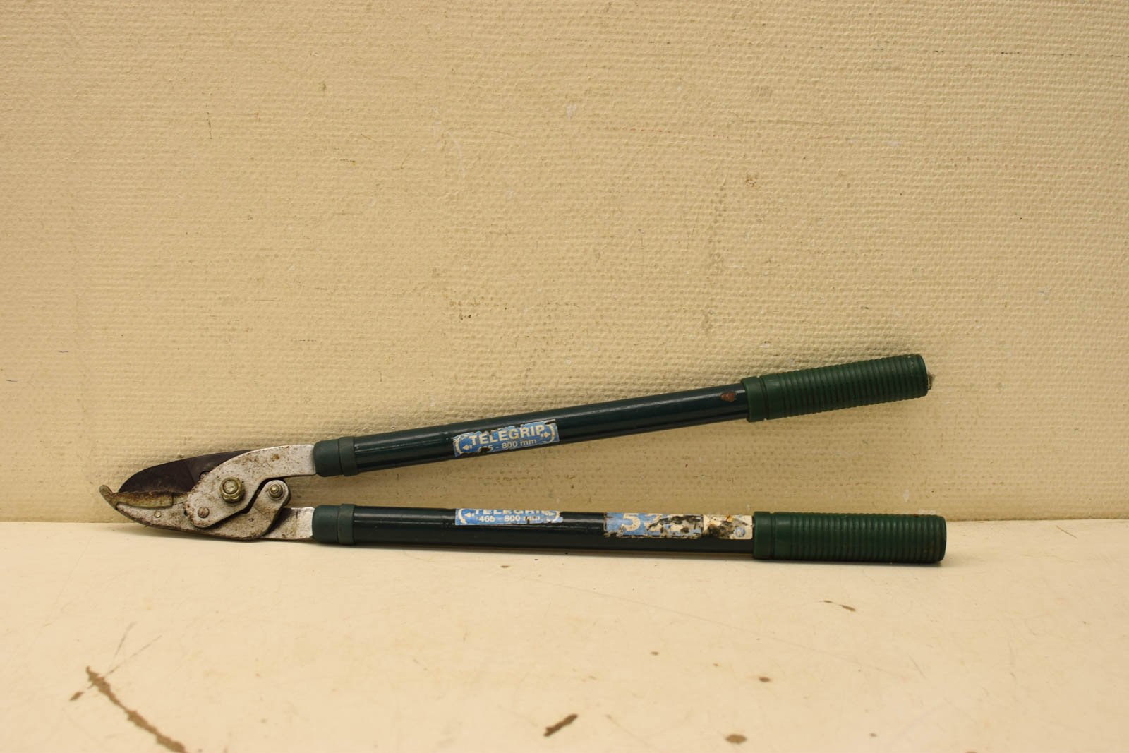 Takkenschaar  46181