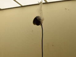 Alternative view of Hanglamp 46384