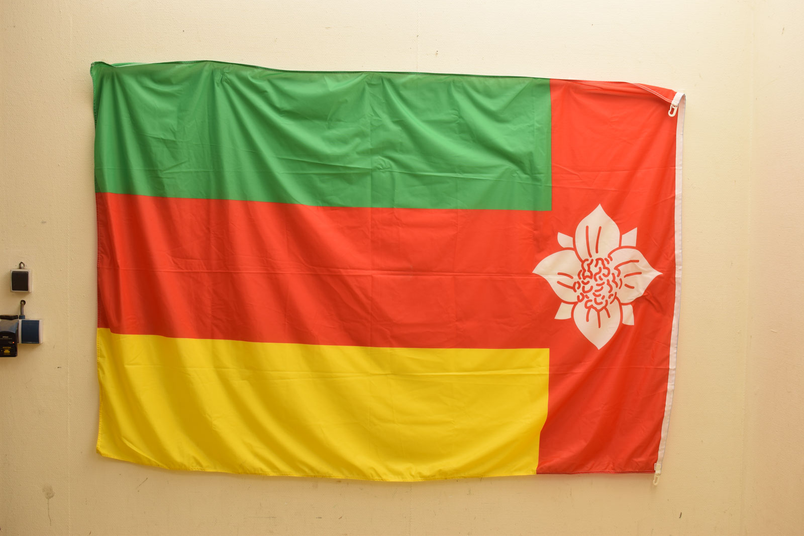 Vlag  Van Tynaarlo  46553