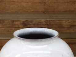 Alternative view of Bolvaas 47451