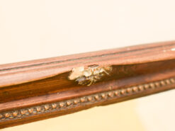Alternative view of Wandspiegel 47681